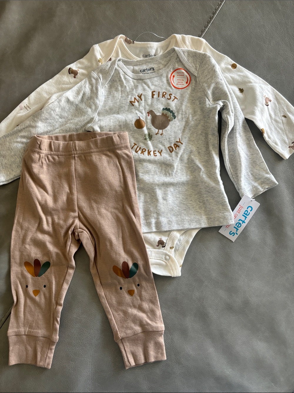 Carter's Gray, Cream & Dusty Pink Thanksgiving Baby Outfit Set